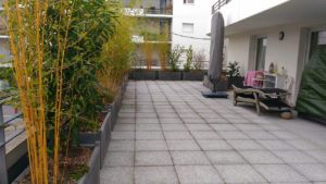 Projet Terrasse Urbaine