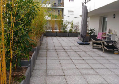 Projet Terrasse Urbaine