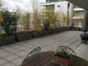 Projet Terrasse Urbaine