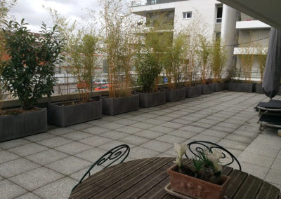 Projet Terrasse Urbaine