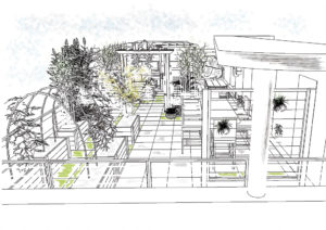 Projet Terrasse Urbaine