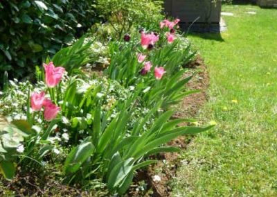 Jardin paysager Photo après