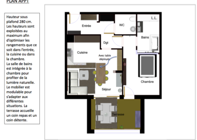 PROJET APPARTEMENT AVEC TERRASSE EN 3D