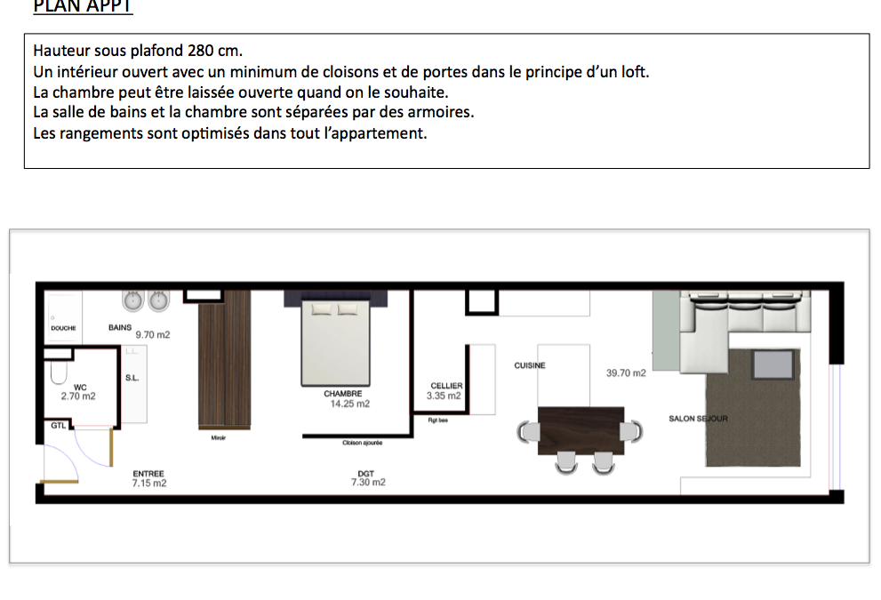 LOFT: agencement appartement /projet en 3D